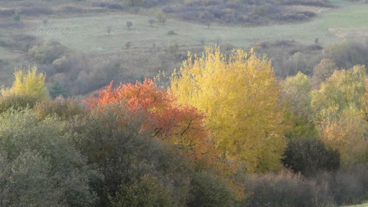 Gutkowa Koliba Jasliska Exterior foto